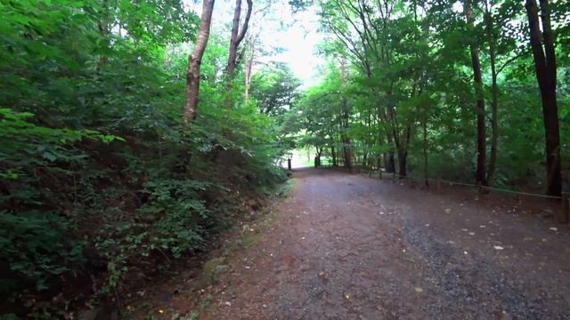 Есть ли у животных права? / Прогулка-болталка;) смотреть онлайн