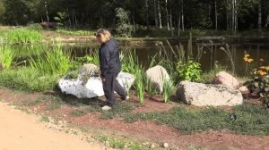 Три удивительных растений в Природном парке Репейник