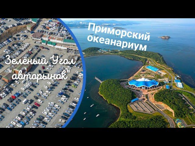 Основные две достопримечательности г.Владивосток #зеленыйугол  #приморскийокеанариум #автоизкореи