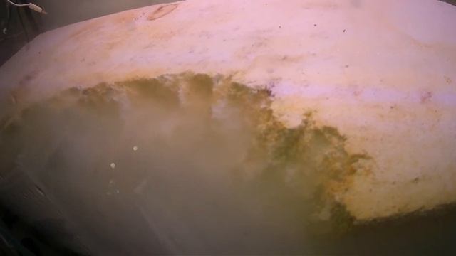 ТЕРРАРИУМ с РАСТЕНИЯМИ спустя МЕСЯЦ. уборка и обновление. смотреть онлайн