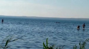 Посёлок Приморский Темрюкский район.Таманский залив.Пляж.Тихий и спокойный отдых для детей.