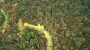 Старое русло р. Навля