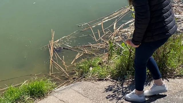 VLOG: ВЕСНА В ХАРЬКОВЕ смотреть онлайн