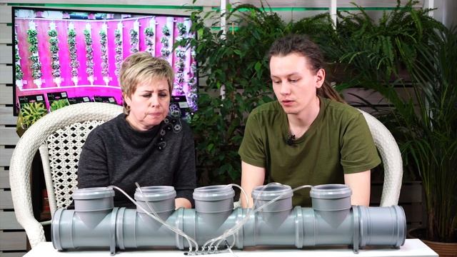 Выращивание растений без грунта ✔️ Гидропоника в домашних условиях