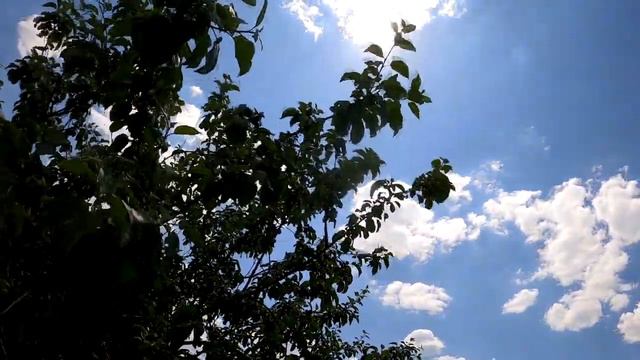 Лучший возбудитель для женщин открываем секрет смотреть онлайн