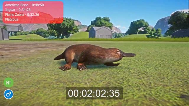 Near Threatened Animals Speed Races in Planet Zoo included Platypus, American Bison etc... смотреть онлайн