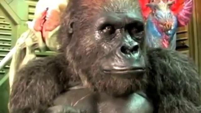 костюм голливудской гориллы