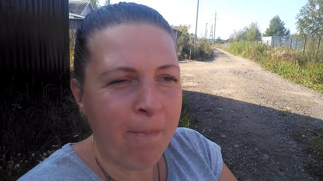 Режим у коз & Через сколько доить?! смотреть онлайн