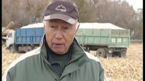 КУКУРУЗА РЕКОРДНЫЙ УРОЖАЙ