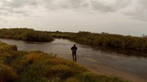 Ловля кеты нахлыстом на Сахалине с клубом Fly Fishing