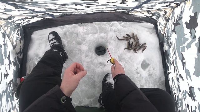 ЛОВЛЯ РОТАНА В ГЛУХОЗИМЬЕ/40 КАННИБАЛОВ С ОДНОЙ ЛУНКИ/ЗИМНЯЯ РЫБАЛКА 2020...