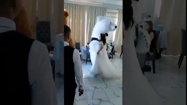 Плюшевое поздравление Белого и Бурого мишки в Ульяновске!