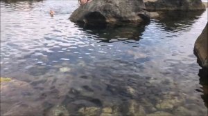 Крым САМЫЕ КРАСИВЫЕ места - Достопримечательности Крыма - Что посмотреть в Крыму