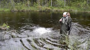 Эпизод 10. Карельская щука в таежной микро речке. Рыбалка в Карелии.