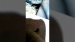 Накладки колодок Ниссан атлас