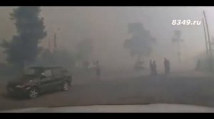 Кто на самом деле поджигает леса? Вот ответ