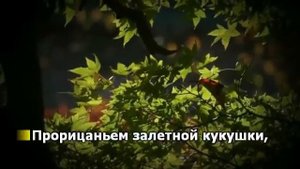 Замани меня, степь