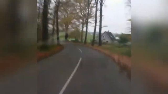 Зиландия. смотреть онлайн