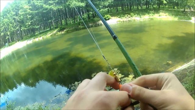 Стритфишинг в Новомосковске/Не знал,что в парке клюют такие КАБАНЫ!!!!