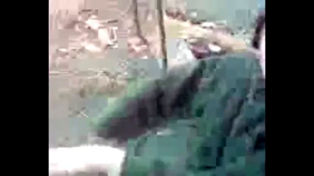 Эта палка ничто смотреть онлайн