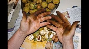 Как отмыть руки от орехов в домашних условиях