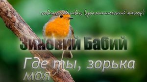 Зиновий Бабий - Где ты, зорька моя