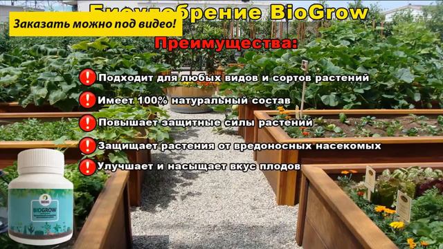Биоудобрение biogrow цена и расфасовка и инструкция