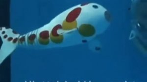 Японская рыба-робот (Карп Кои)