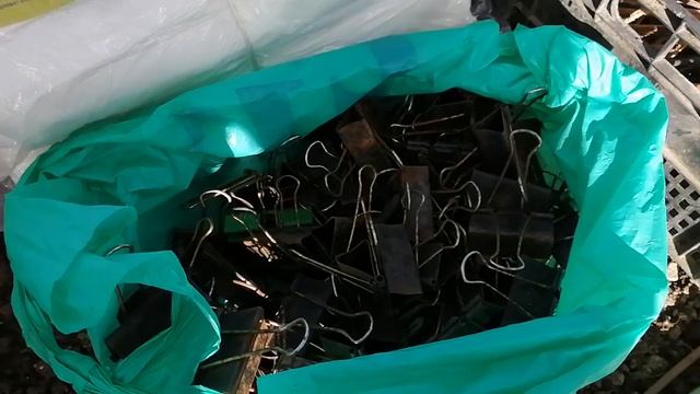 Чем пользуюсь при укрытии роз. смотреть онлайн