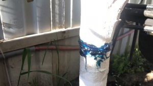 Ловчий пояс от муравьёв ,из подручных средств