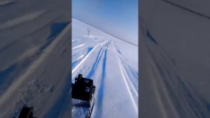 Мотособака своими руками