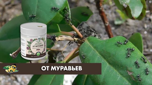 УНИЧТОЖИТЕЛЬ МУРАВЬЕВ смотреть онлайн