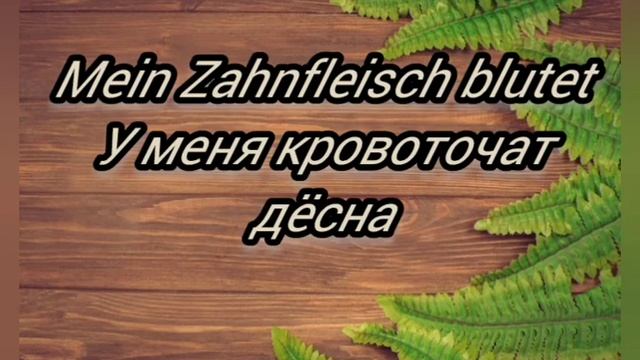 Германия??. Полезные фразы и выражения на немецком языке. На приёме у стоматолога. немецкий язык. смотреть онлайн