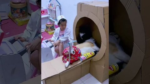 Доктор поможет