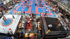 Wako bestfighter world cup 2018