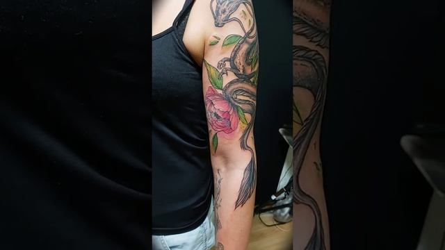 Дракон смотреть онлайн