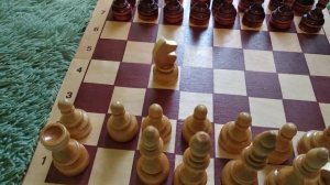 ШАХМАТЫ  КАК ХОДЯТ ФИГУРЫ?