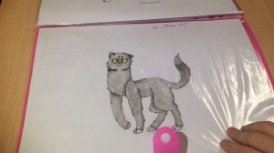 🎨Мои рисунки Котов-Воителей #1 | Художник | КВ🎨