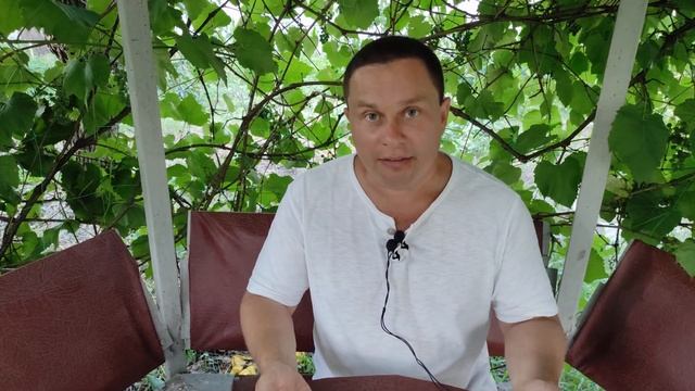 Как вести индивидуальную экскурсию. Часть 1. Пешеходная экскурсия. смотреть онлайн