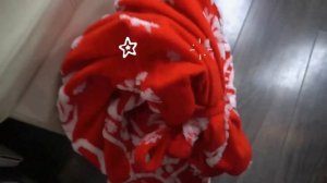 Воришка украл Мешок с ПОДАРКАМИ. Дед Мороз ОСТАЛСЯ БЕЗ ПОДАРКОВ! Видео про Новый год для детей