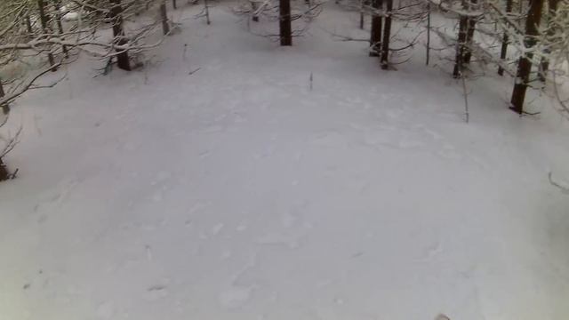 Охота на зайца. В поисках зайца. смотреть онлайн