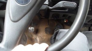 Почему шипит Газель ?