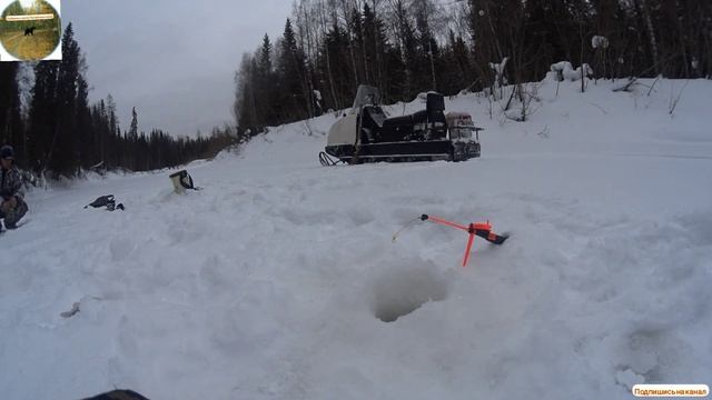 Рыбалка на хариуса смотреть онлайн
