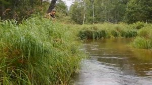 Рыбалка на севере Сахалина