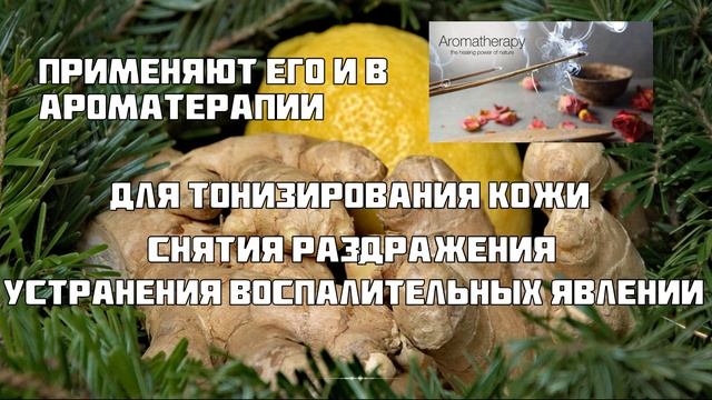 Имбирь - польза и вред.