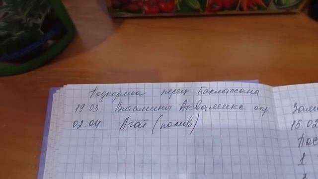 Подкормка рассады овощных культур 20.04.2018