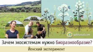 ЗАЧЕМ ЭКОСИСТЕМАМ НУЖНО БИОРАЗНООБРАЗИЕ?
