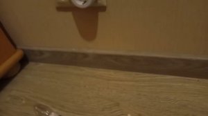 Экономит ли энергосберегающая лампа или Led??? Проверим?