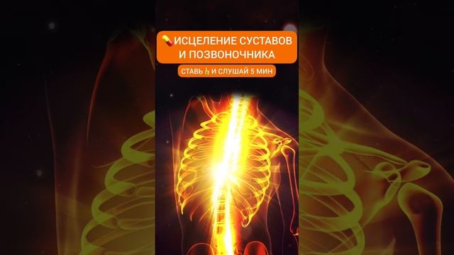 Исцеление СУСТАВОВ и ПОЗВОНОЧНИКА | Снятие БОЛИ в Спине #медитация #исцелениезвуком