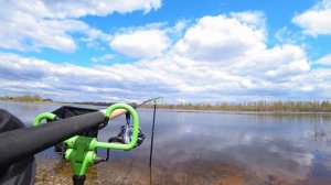 Ловля фидером на Припяти весной 2021 с Юрой Лисовским.